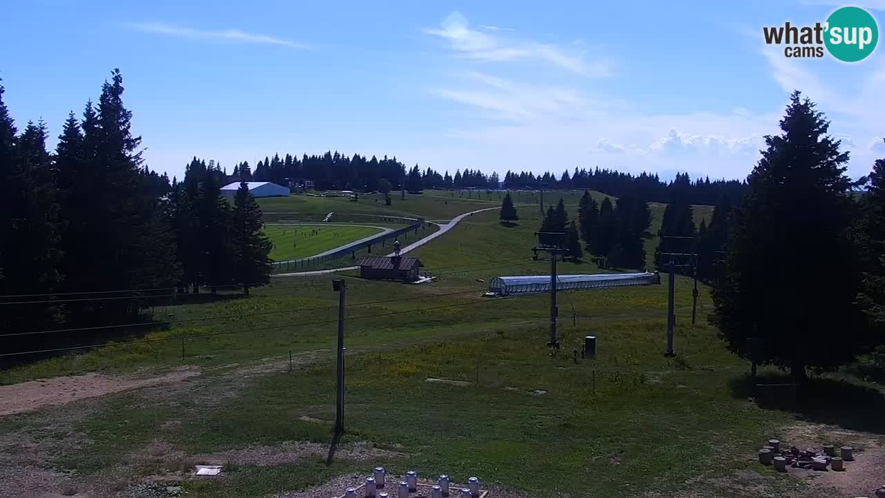 Rogla – Uniorček