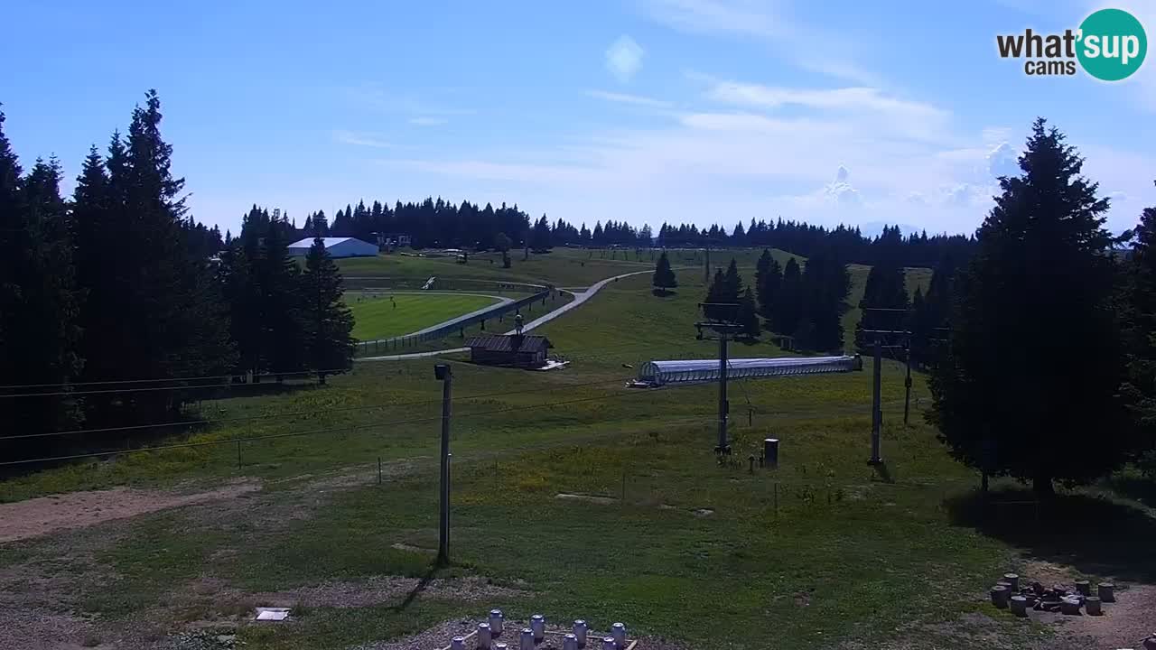 Live webcam Rogla – Uniorček – Ski resort Slovenia