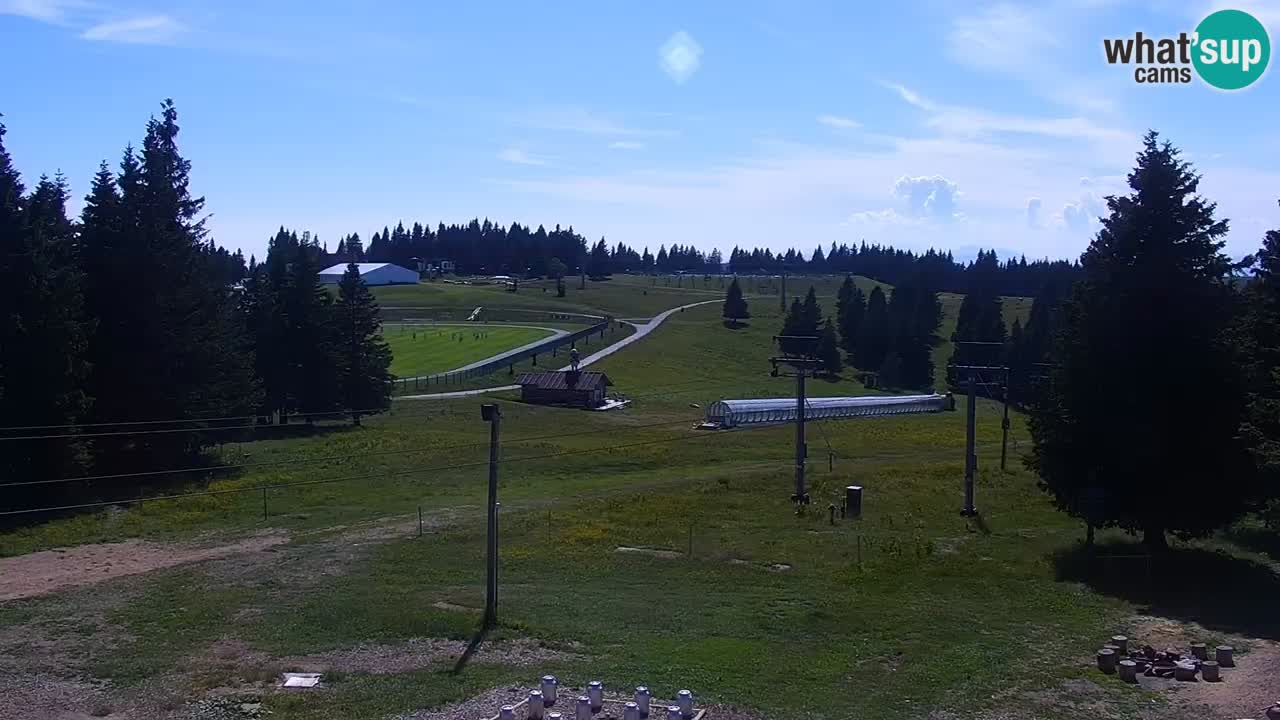 Live webcam Rogla – Uniorček – Ski resort Slovenia