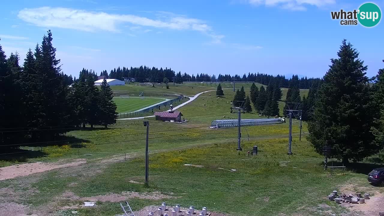 Live webcam Rogla – Uniorček – Ski resort Slovenia