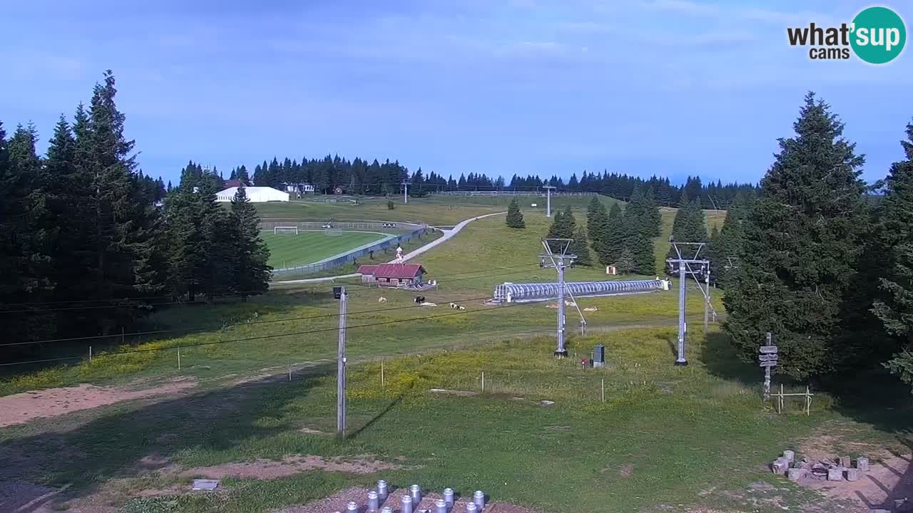 Live webcam Rogla – Uniorček – Ski resort Slovenia