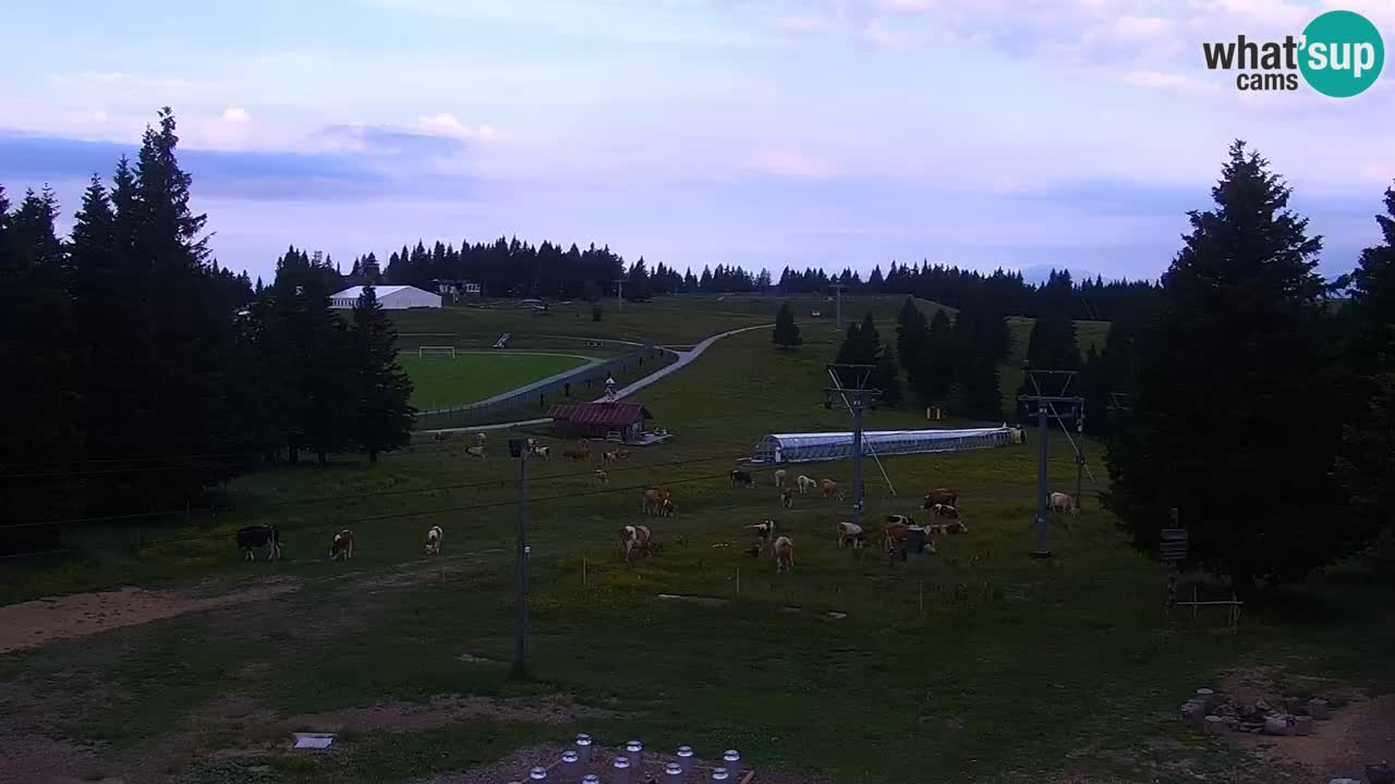 Rogla – Uniorček