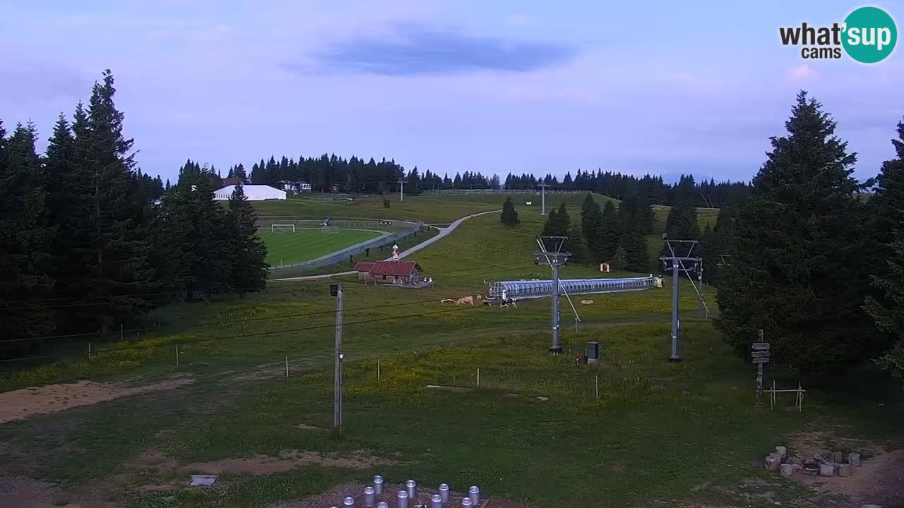 Rogla – Uniorček