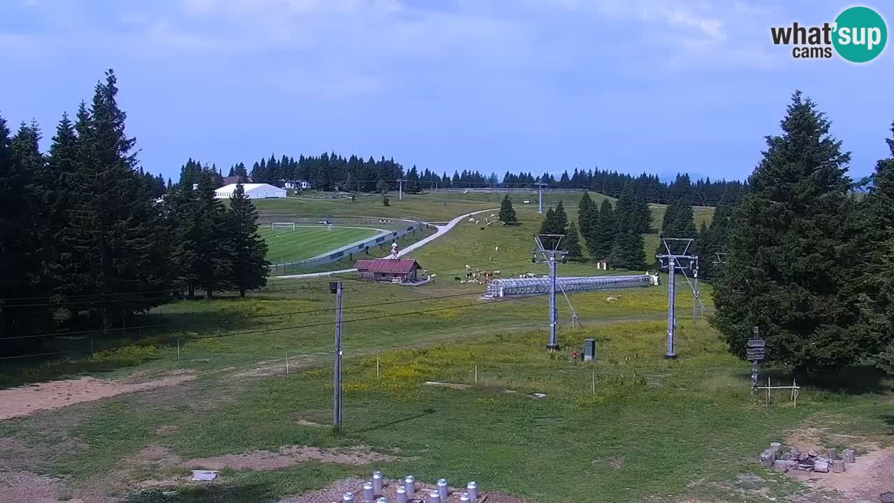 Live webcam Rogla – Uniorček – Ski resort Slovenia
