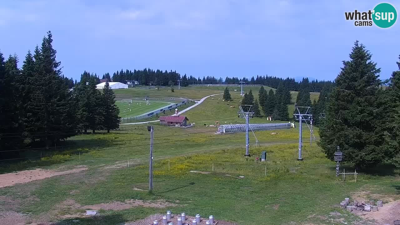 Rogla – Uniorček