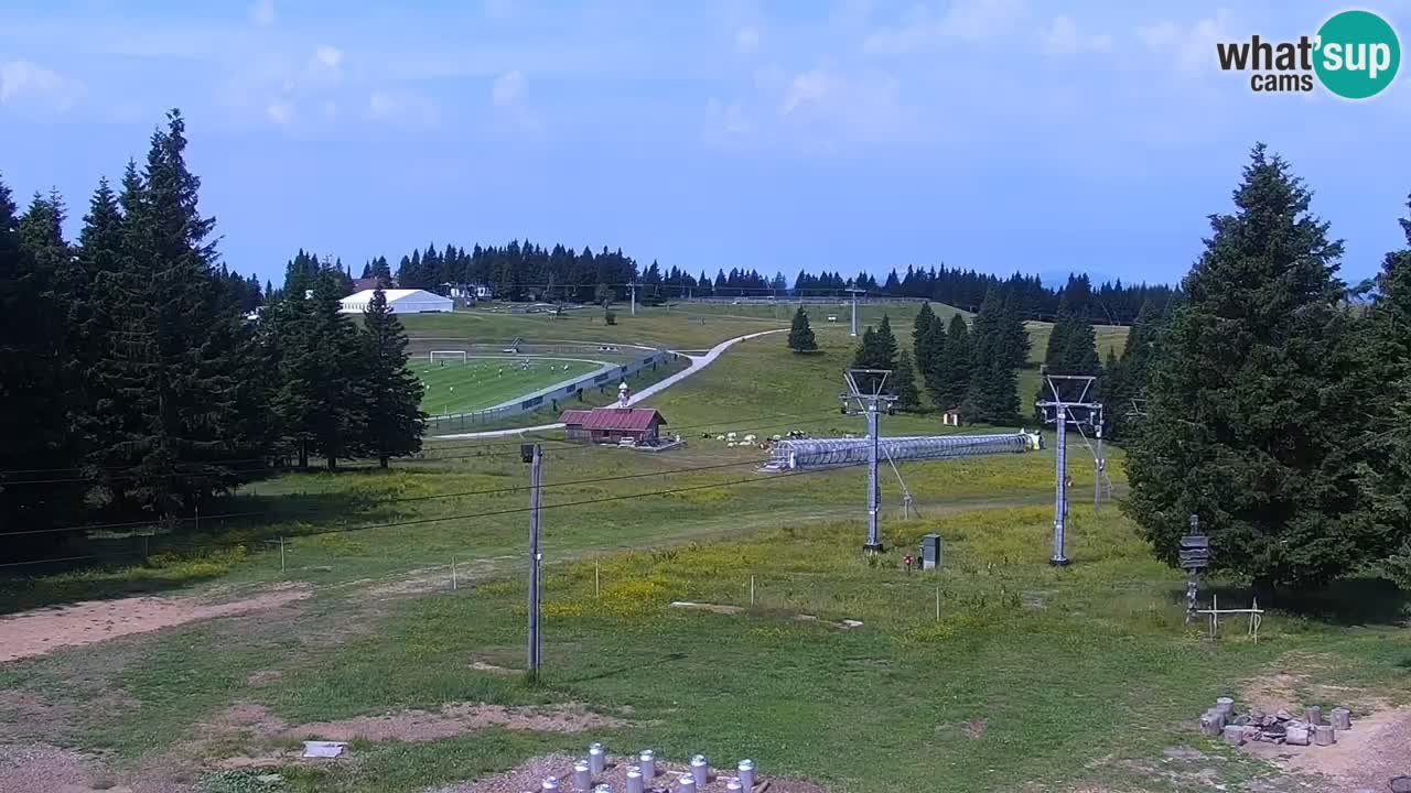 Rogla – Uniorček