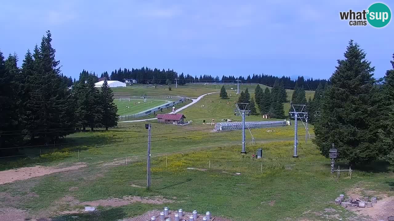 Rogla – Uniorček