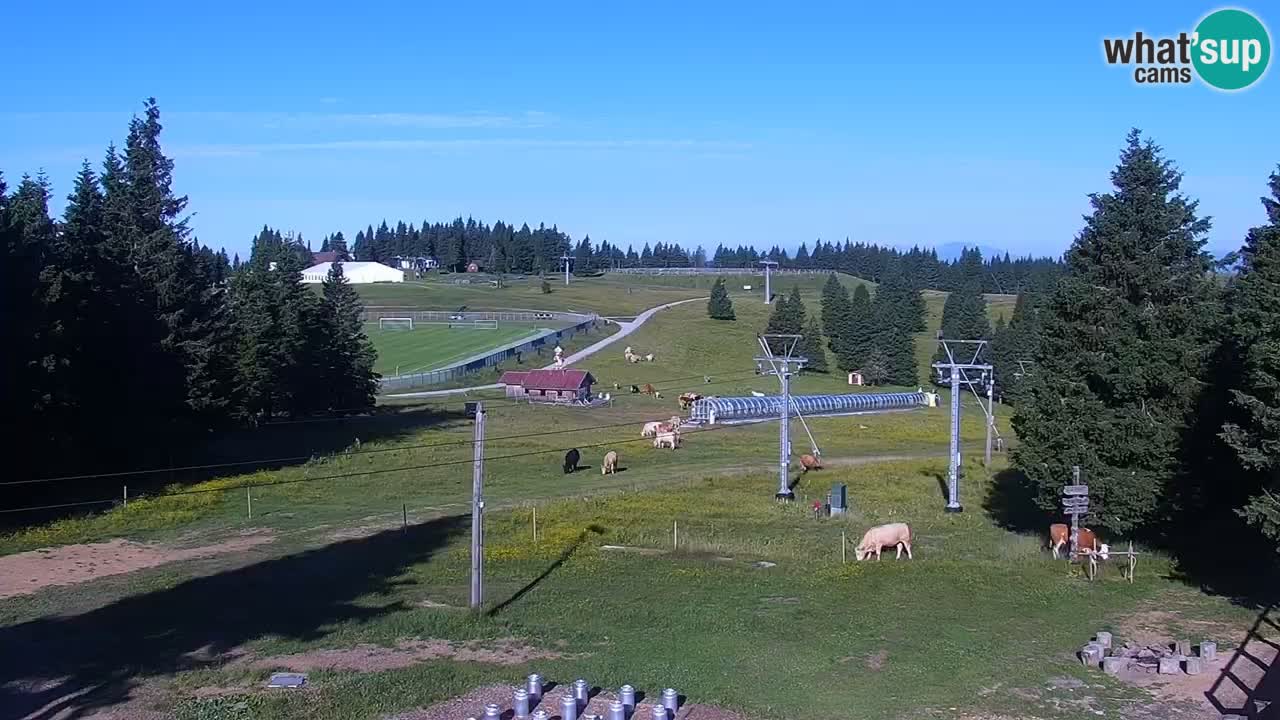 Live webcam Rogla – Uniorček – Ski resort Slovenia
