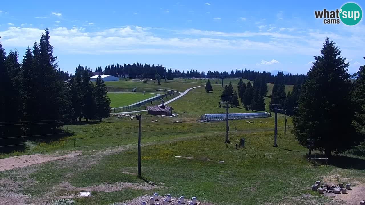 Rogla – Uniorček