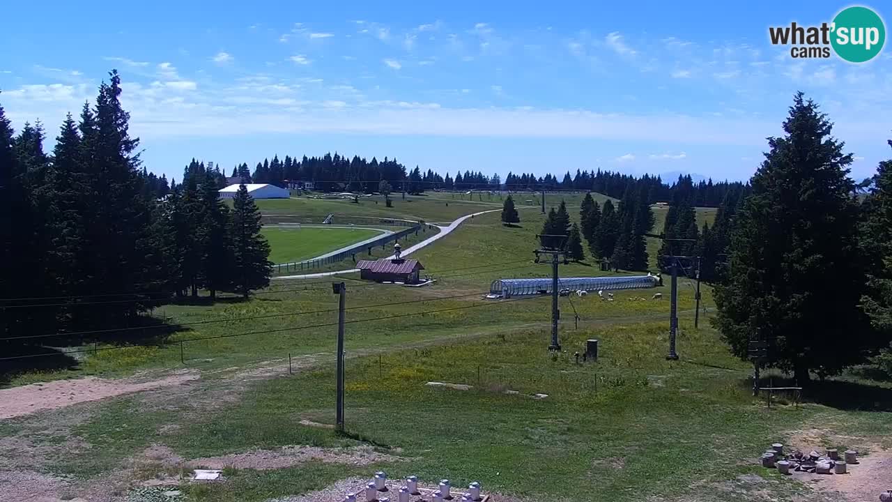 Rogla – Uniorček
