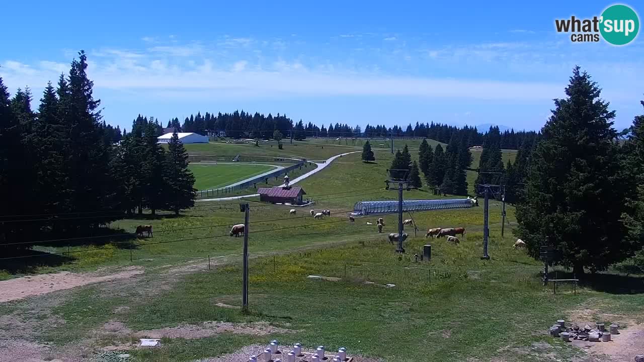 Rogla – Uniorček