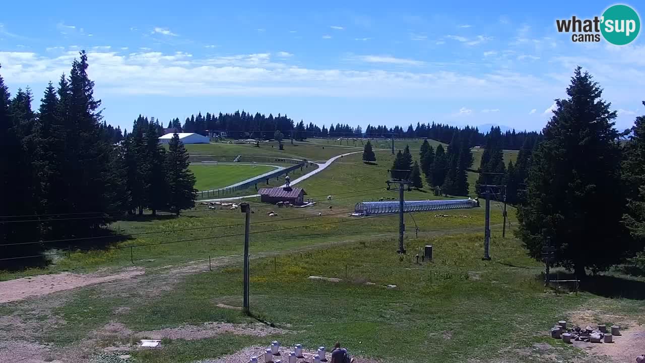 Rogla – Uniorček