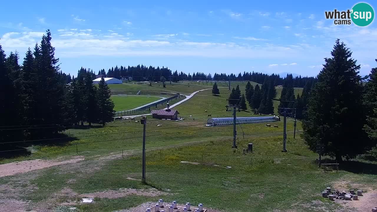 Rogla – Uniorček