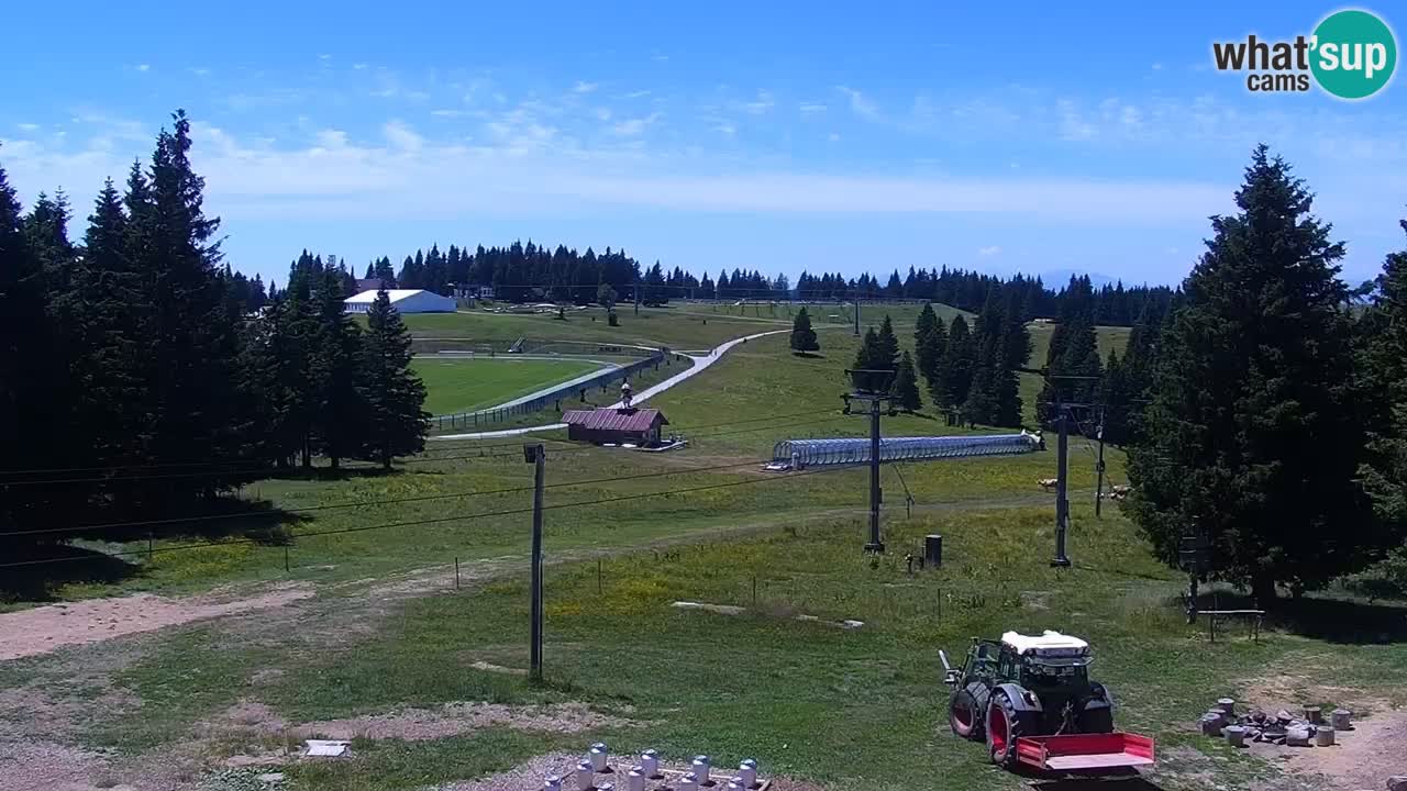 Rogla – Uniorček