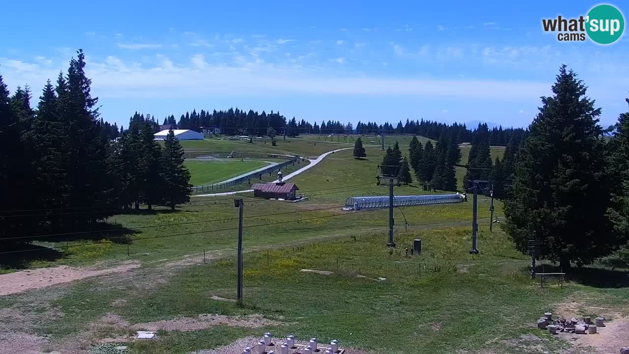 Rogla – Uniorček