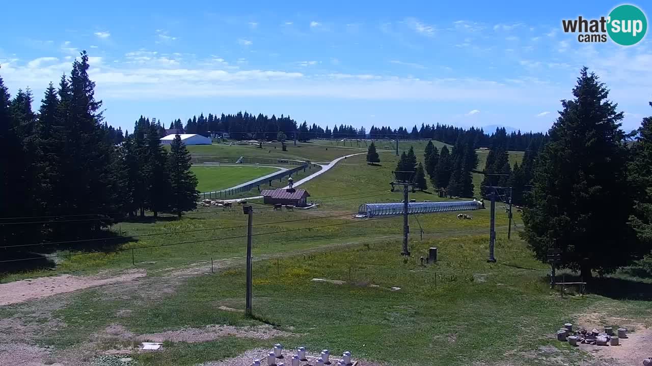 Rogla – Uniorček