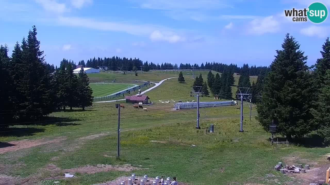 Rogla – Uniorček
