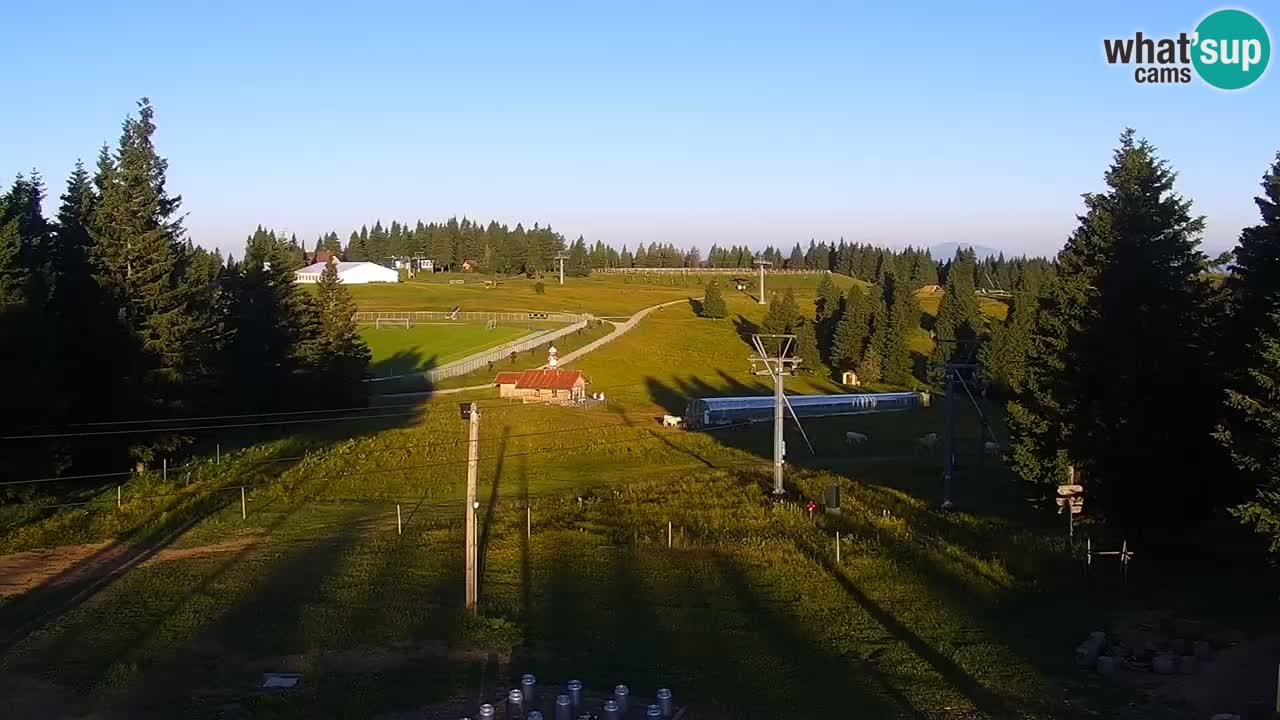 Live webcam Rogla – Uniorček – Ski resort Slovenia