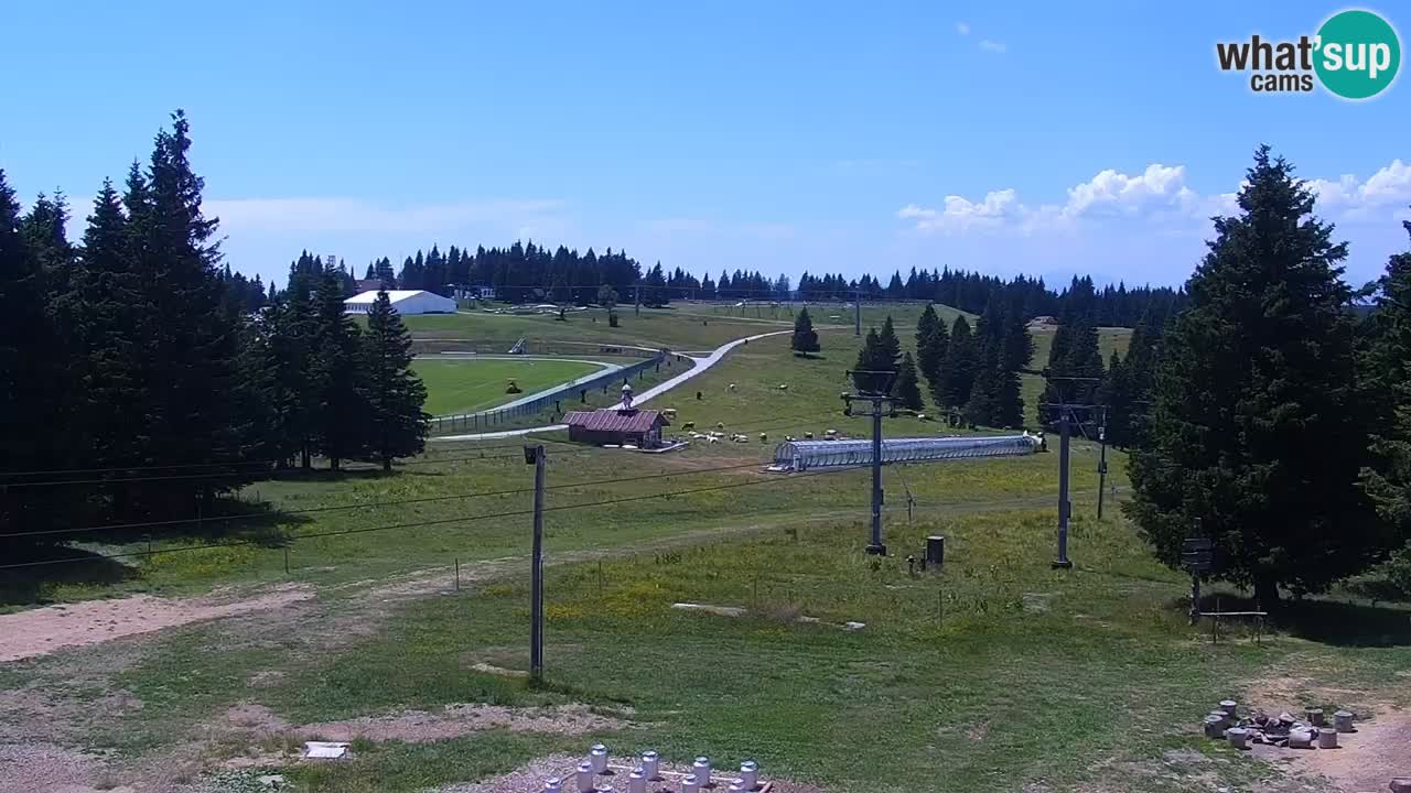 Live webcam Rogla – Uniorček – Ski resort Slovenia