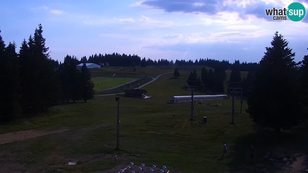 Live webcam Rogla – Uniorček – Ski resort Slovenia