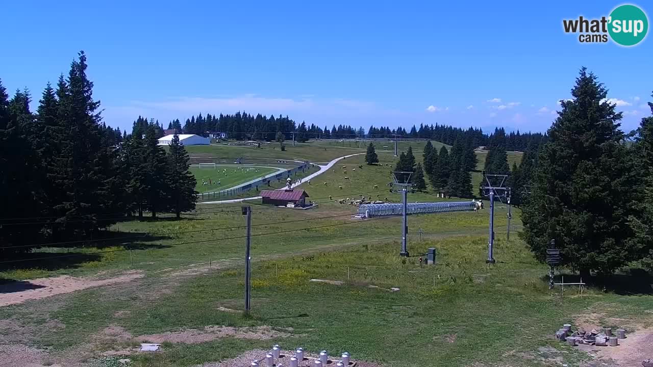 Rogla – Uniorček