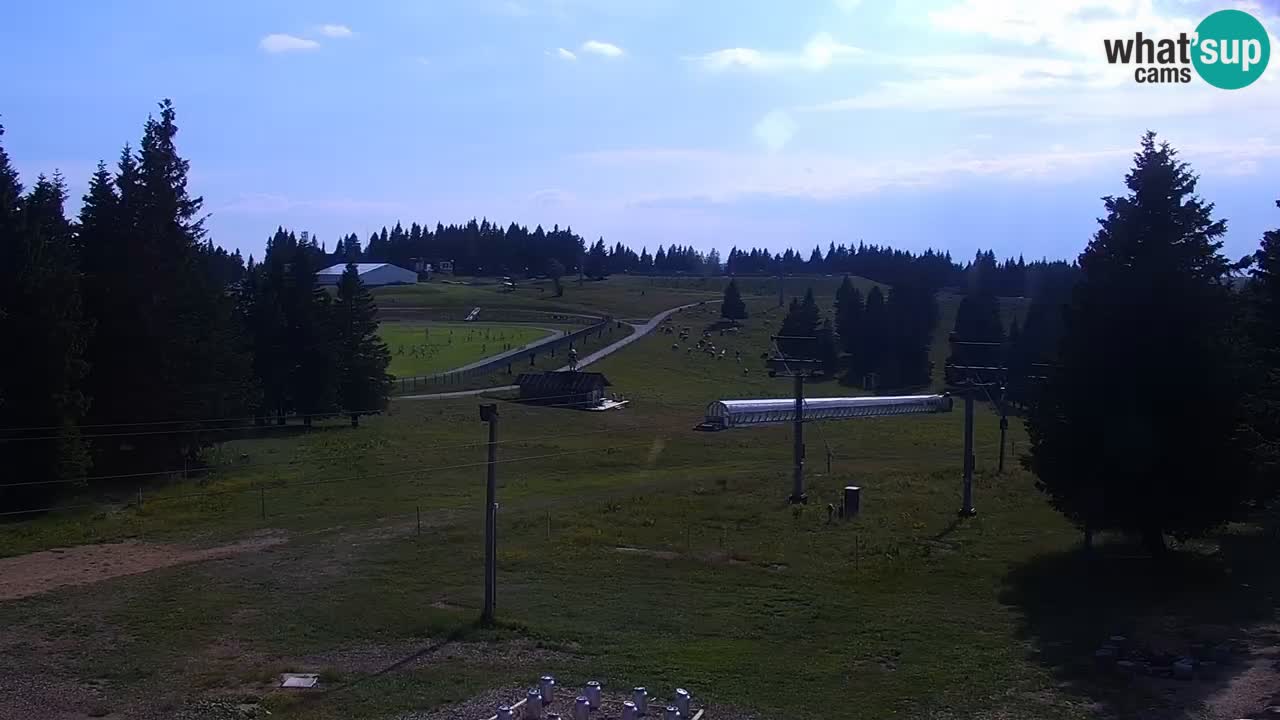 Rogla – Uniorček