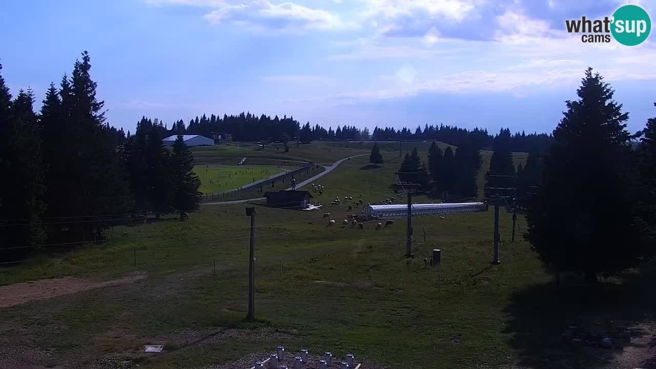 Rogla – Uniorček