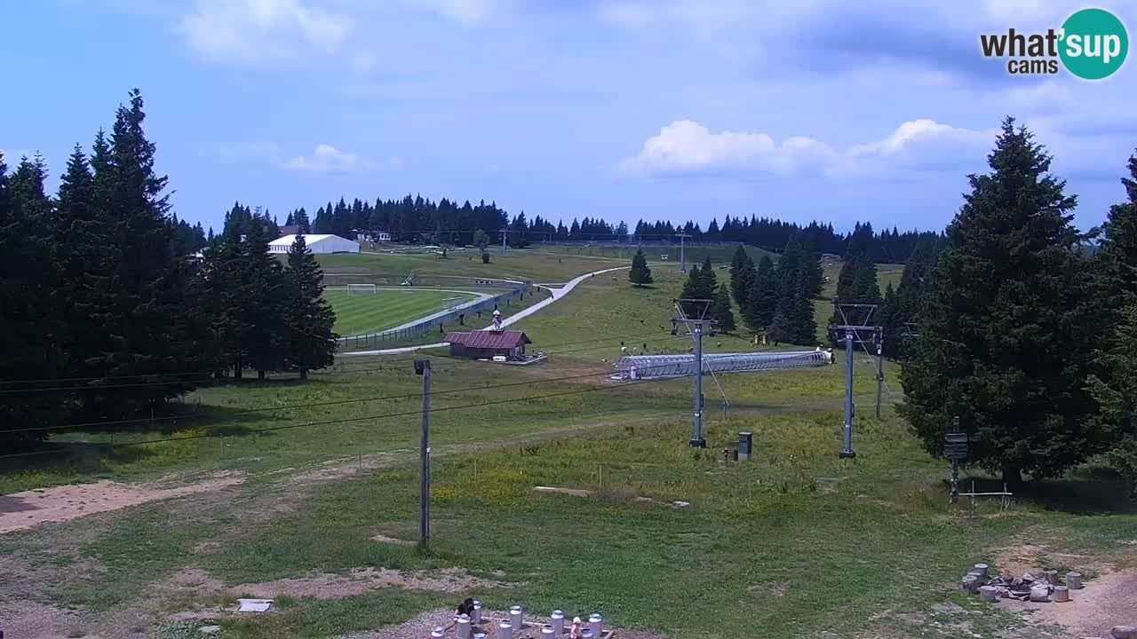 Rogla – Uniorček