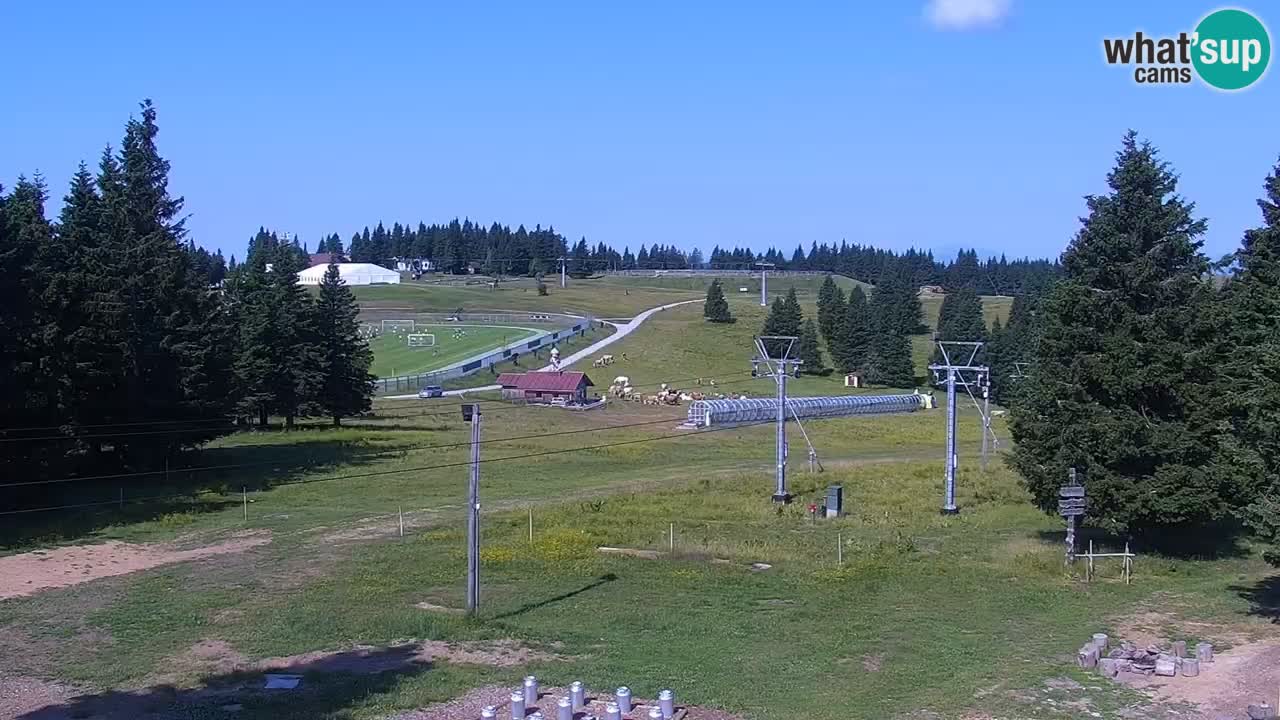 Rogla – Uniorček