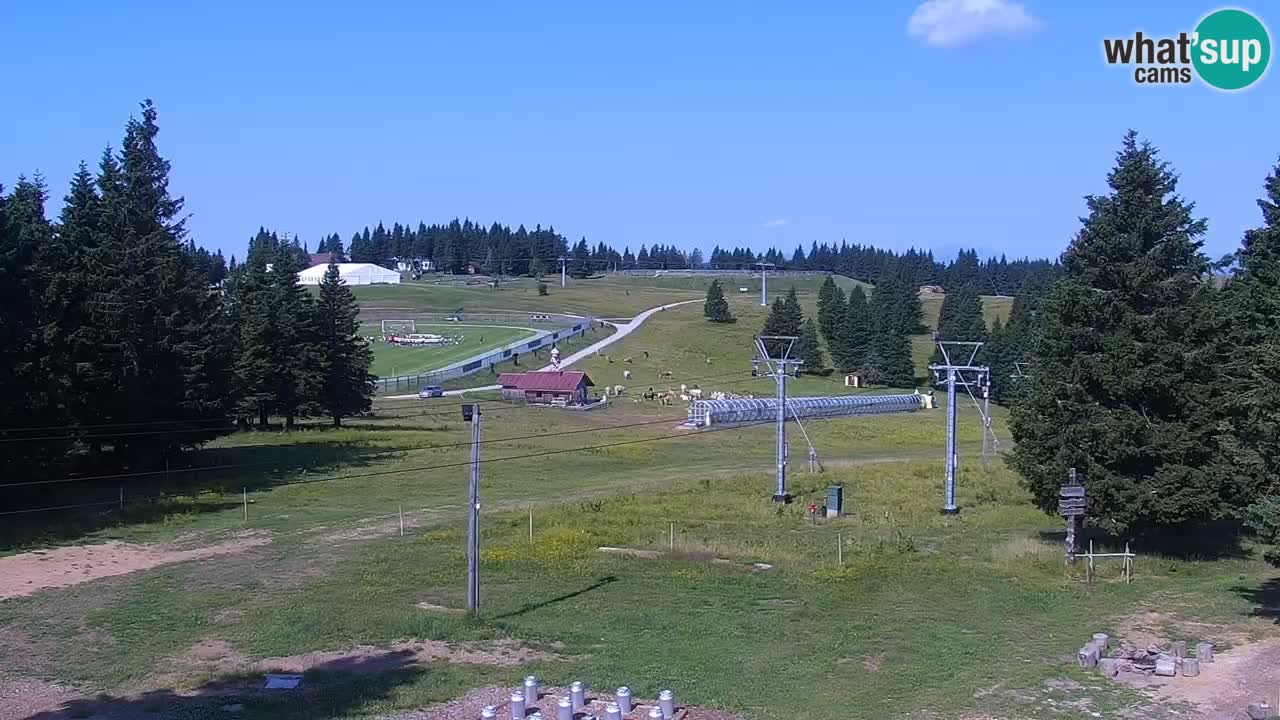 Rogla – Uniorček