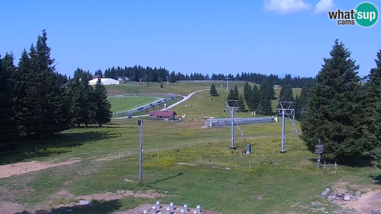 Rogla – Uniorček
