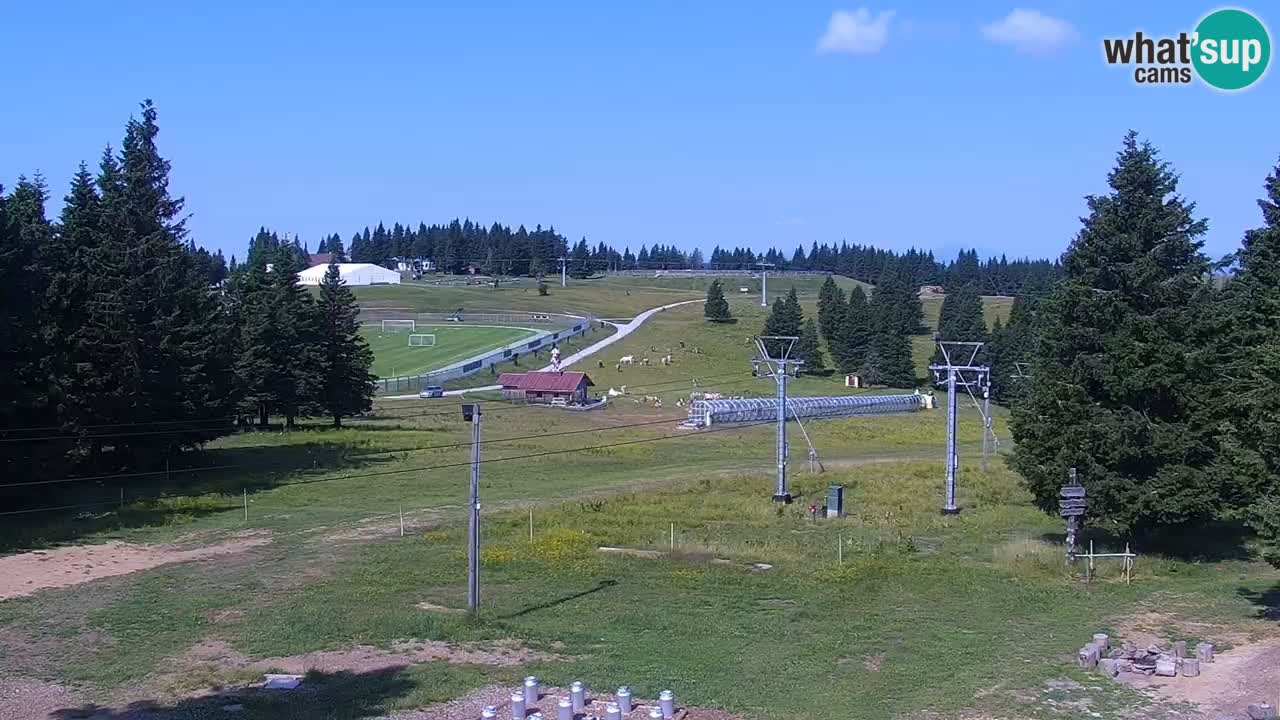 Rogla – Uniorček