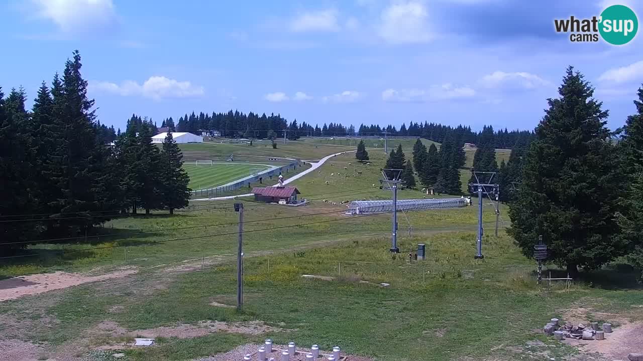Rogla – Uniorček