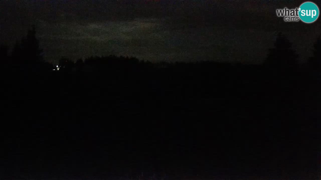 Rogla – Uniorček