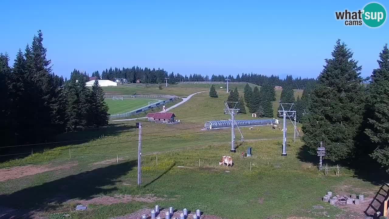 Rogla – Uniorček