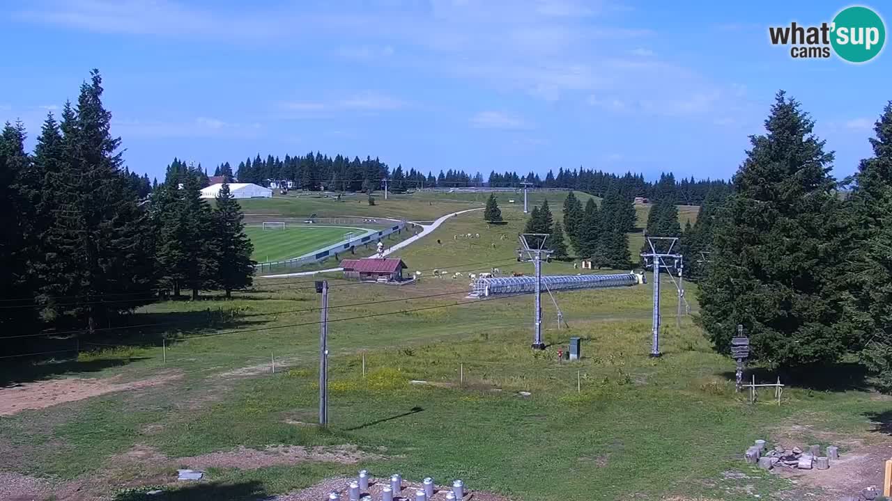 Rogla – Uniorček