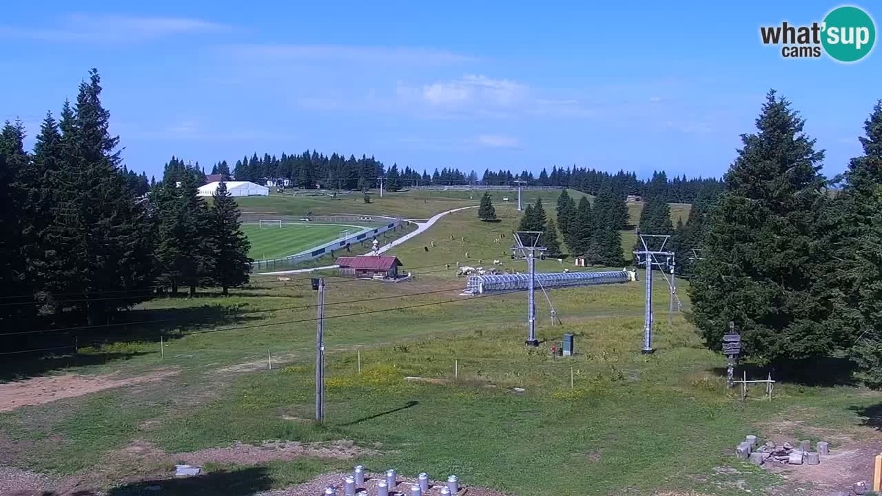 Rogla – Uniorček