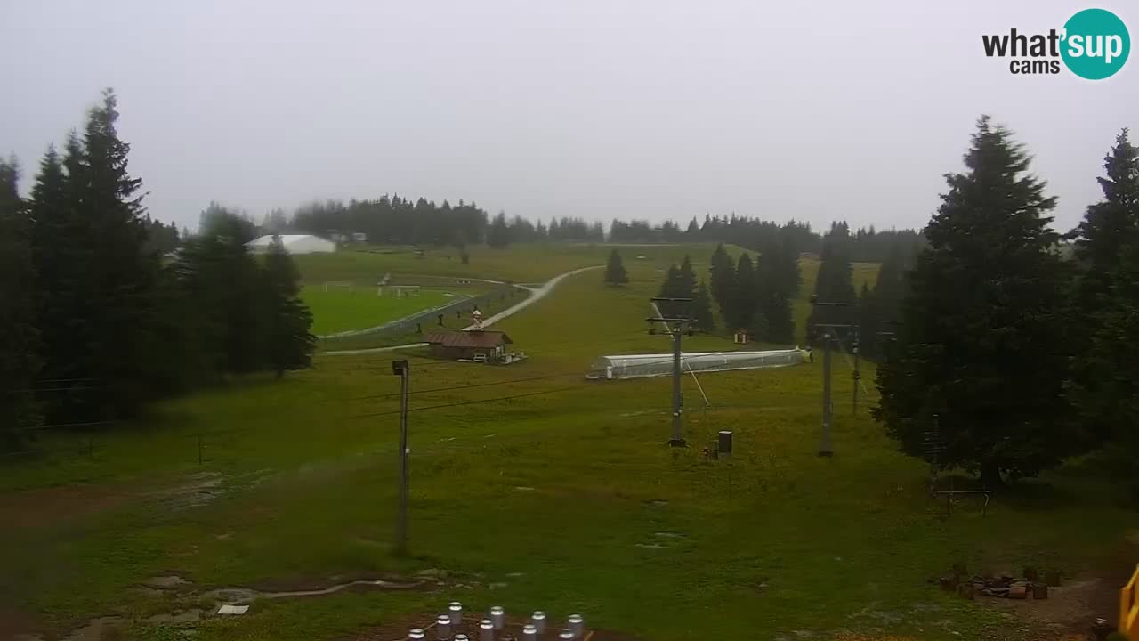Rogla – Uniorček