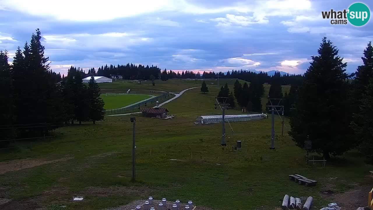Live webcam Rogla – Uniorček – Ski resort Slovenia