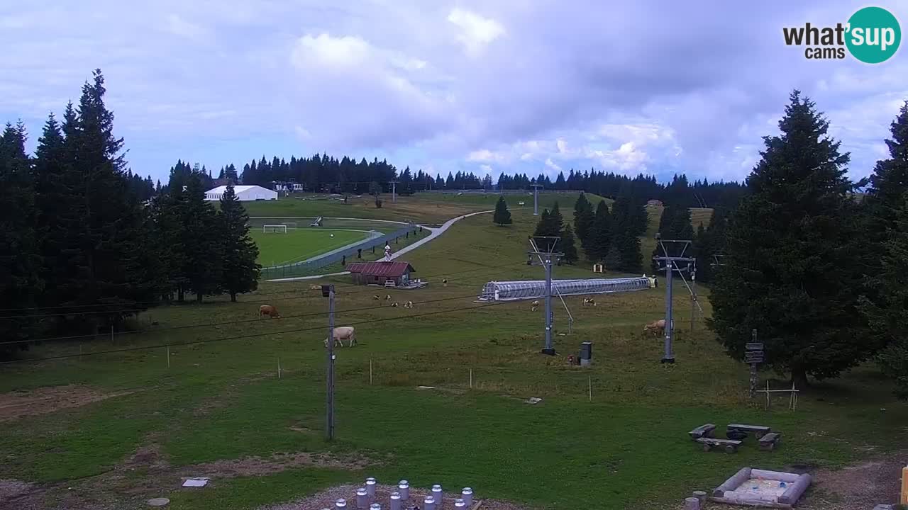 Rogla – Uniorček