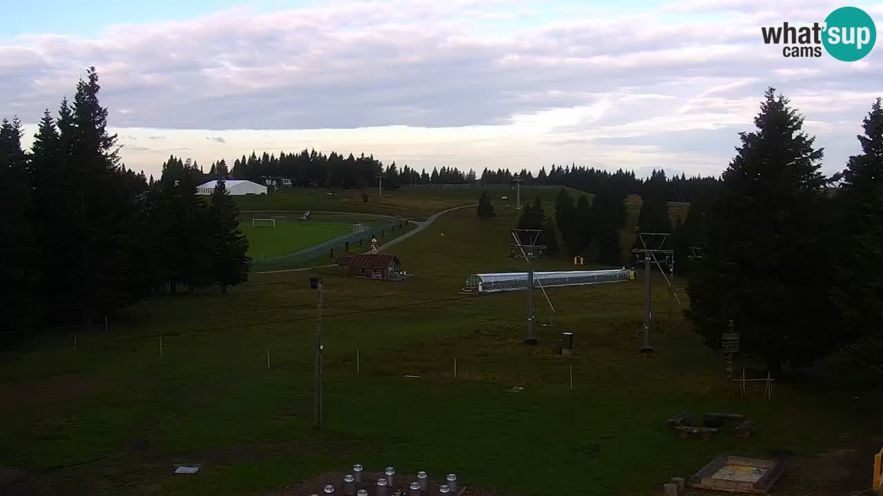 Live webcam Rogla – Uniorček – Ski resort Slovenia