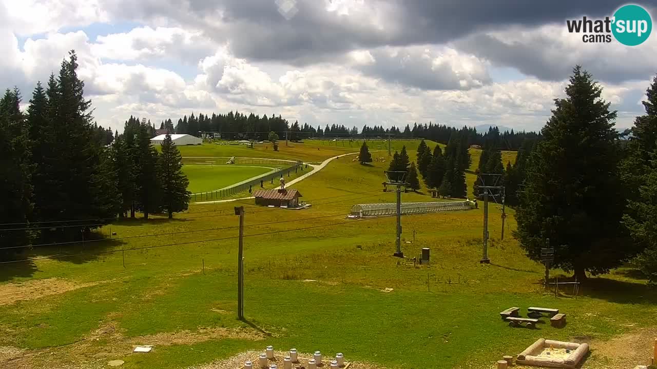 Rogla – Uniorček