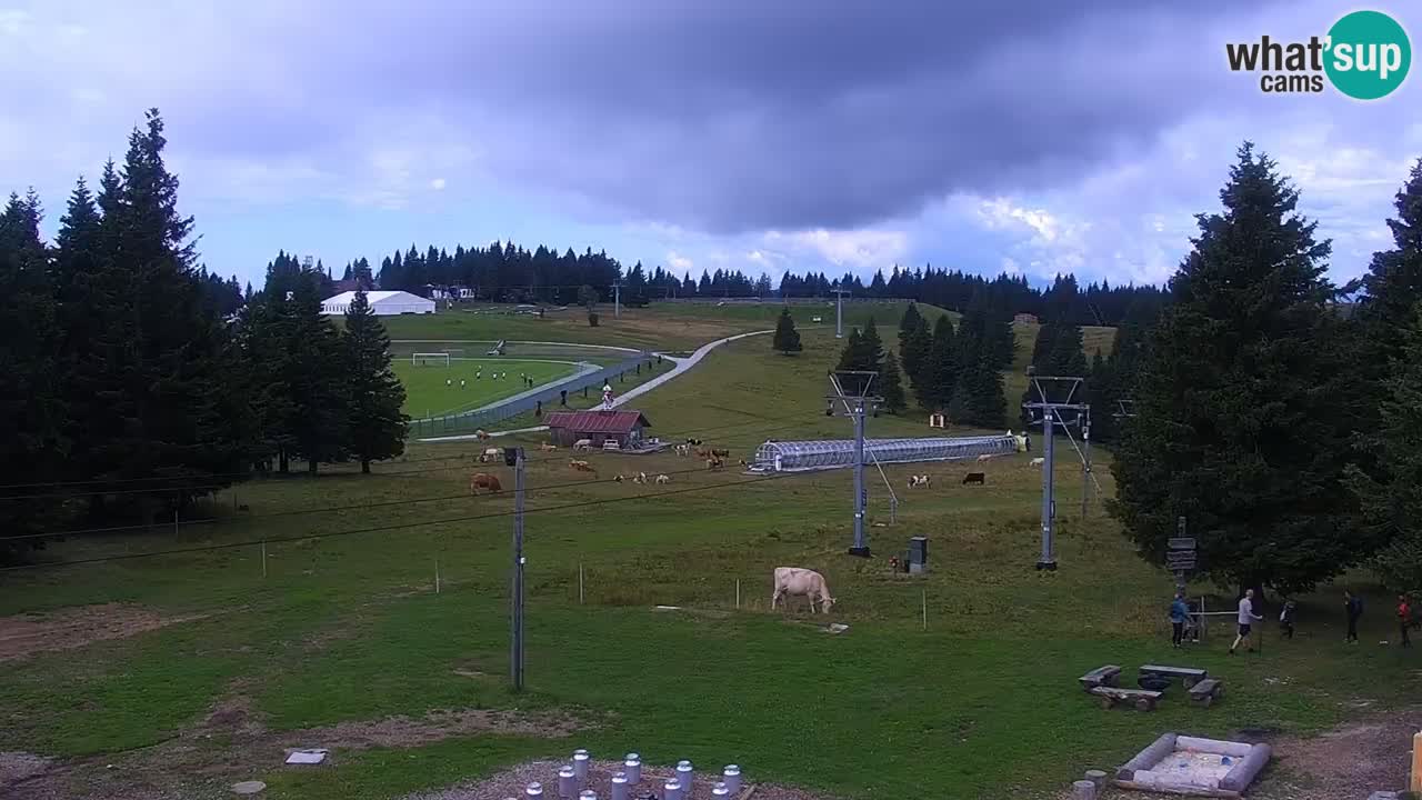 Rogla – Uniorček