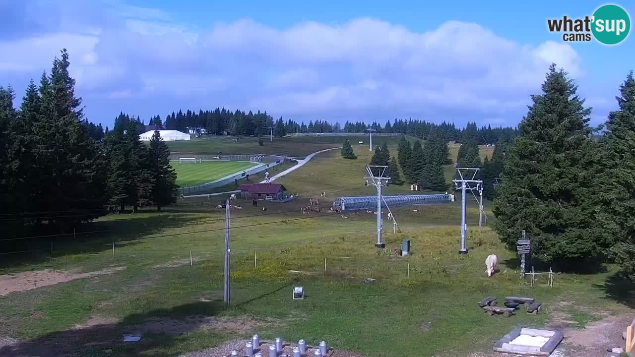 Rogla – Uniorček