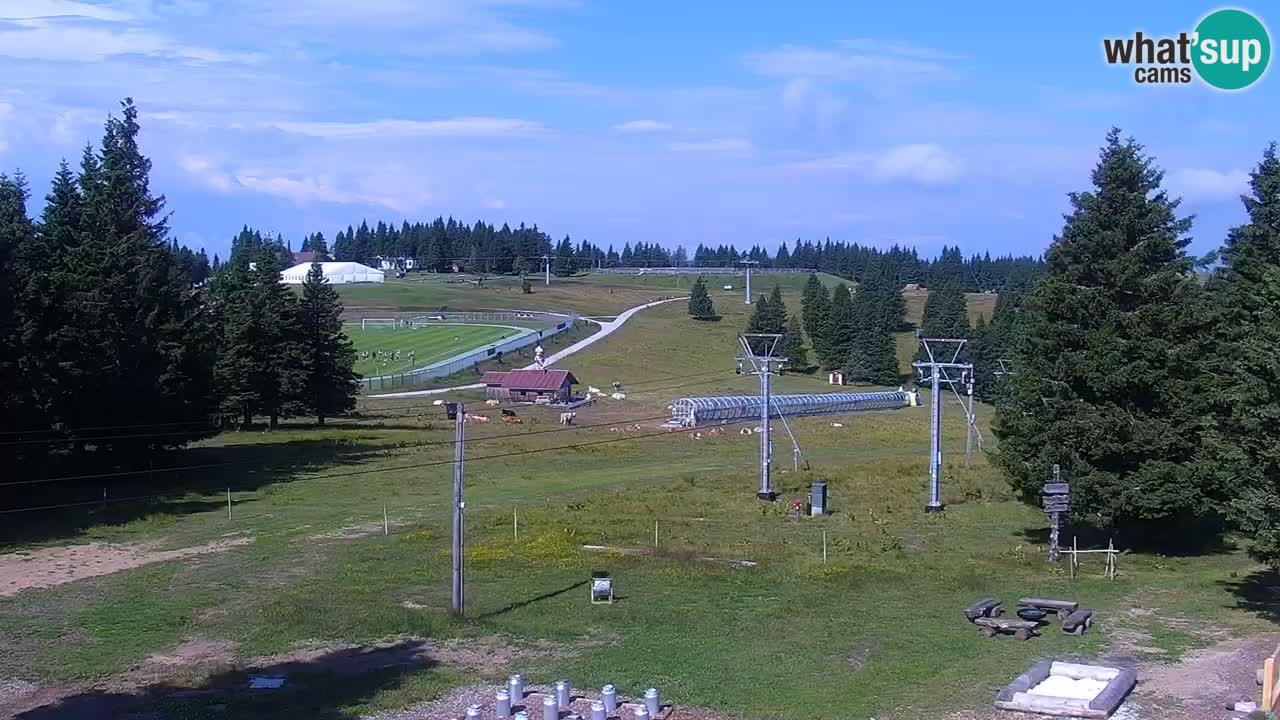 Rogla – Uniorček