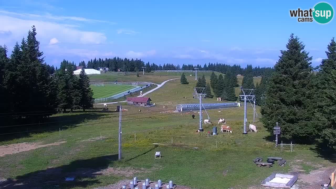Rogla – Uniorček
