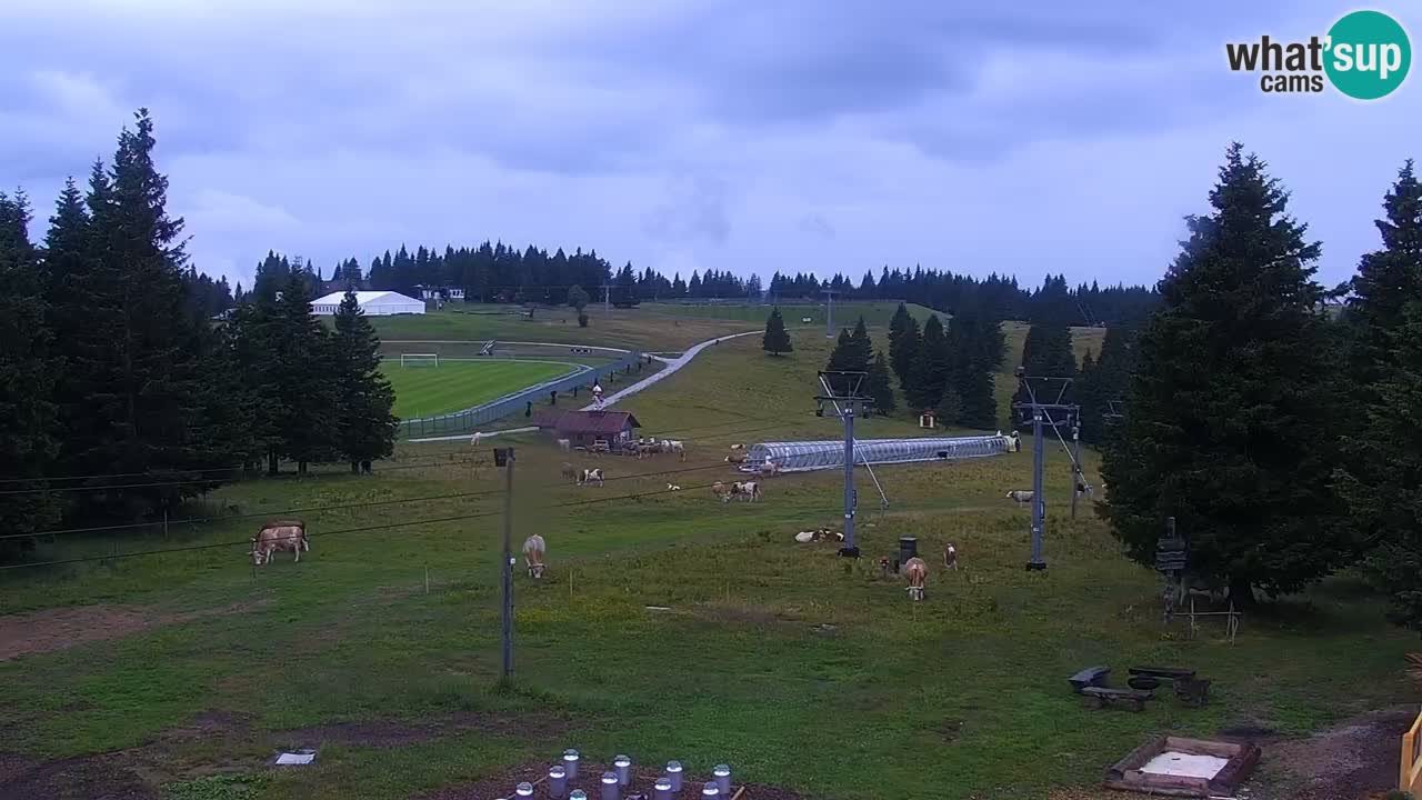 Rogla – Uniorček