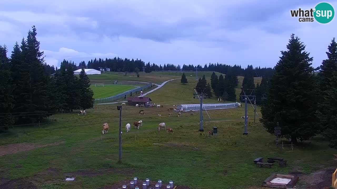 Live webcam Rogla – Uniorček – Ski resort Slovenia