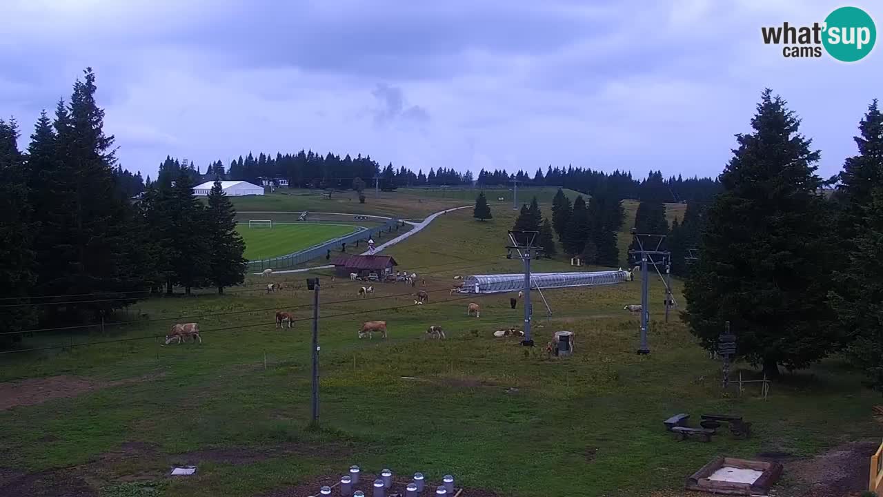 Live webcam Rogla – Uniorček – Ski resort Slovenia