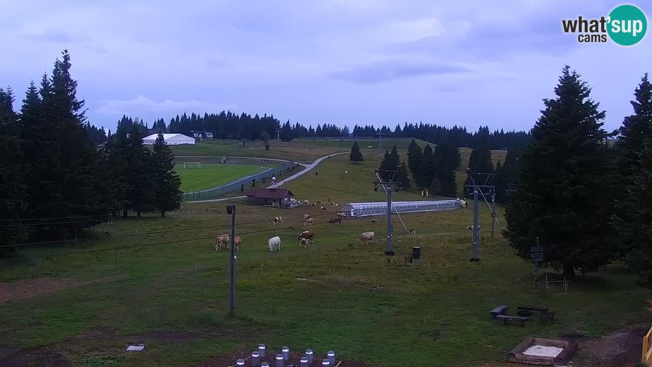 Rogla – Uniorček